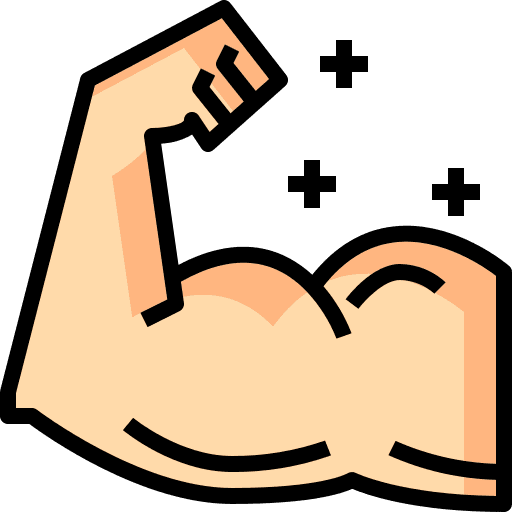 muscle